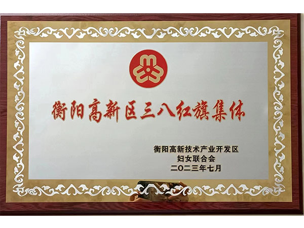 衡阳高新区三八红旗集体