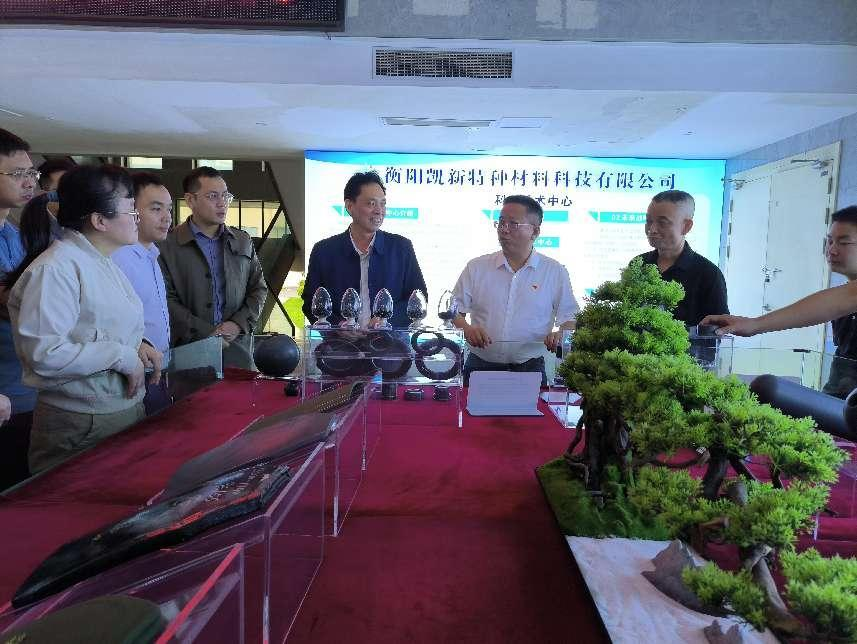衡阳市工业和信息化局与凯新科技 机关企业结对帮建主题党日活动