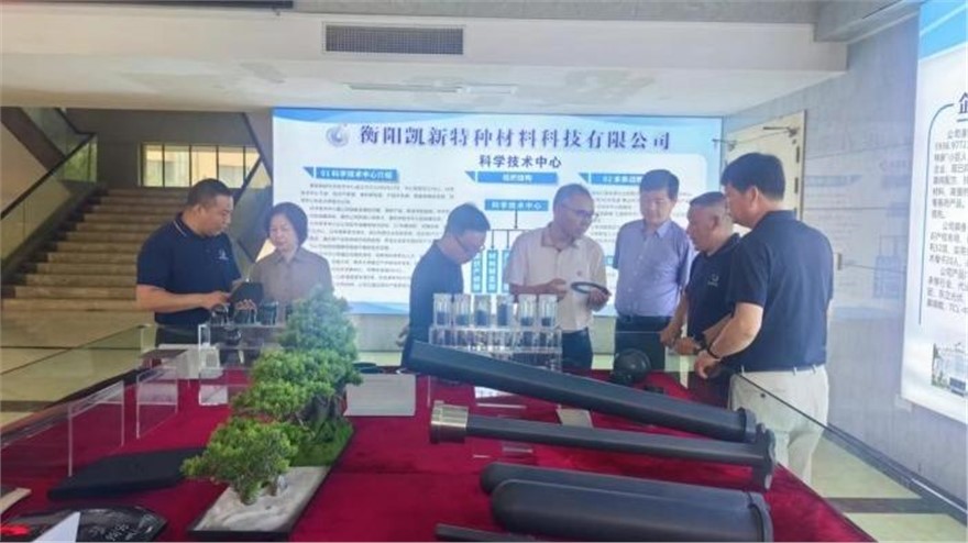 黄山市政协副主席杨龙一行莅临衡阳凯新特种材料科技有限公司调研