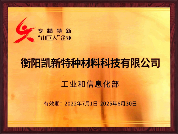 国家专精特新“小巨人”企业