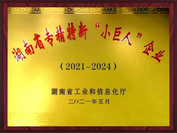 湖南省专精特新“小巨人”企业